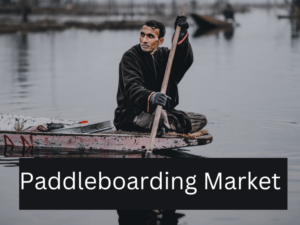 How to Start a Paddle Board Rental Business